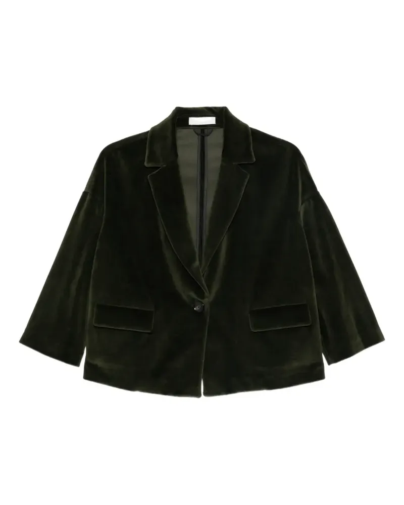 CIRCOLO 1901 Blazer aus Samt - Grün Grün
