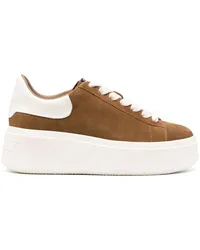 ash Moby Sneakers Braun