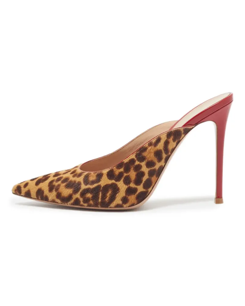 Gianvito Rossi Spitze Mules mit Leopardenprint - Braun Braun