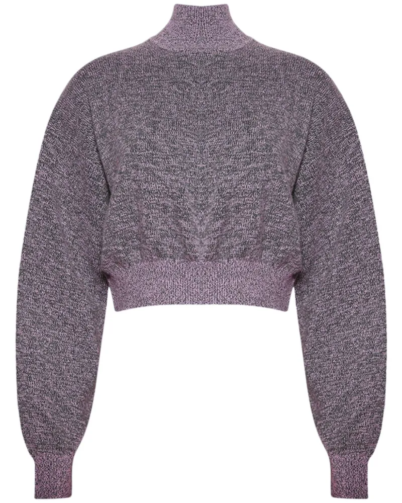 Alexander Wang Cropped-Pullover - Rosa Rosa
