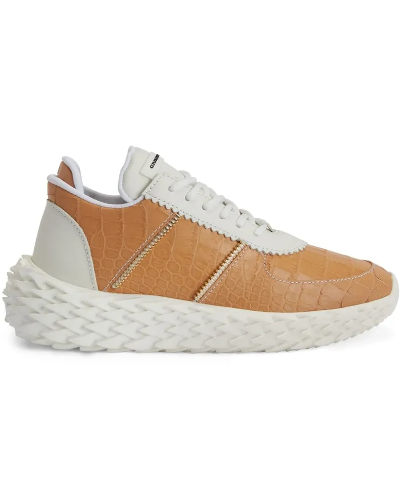 Giuseppe Zanotti Urchin Sneakers - Braun Braun