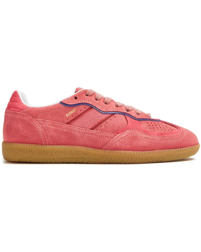 Alohas Tb.490 Sneakers aus Wildleder - Rosa Rosa