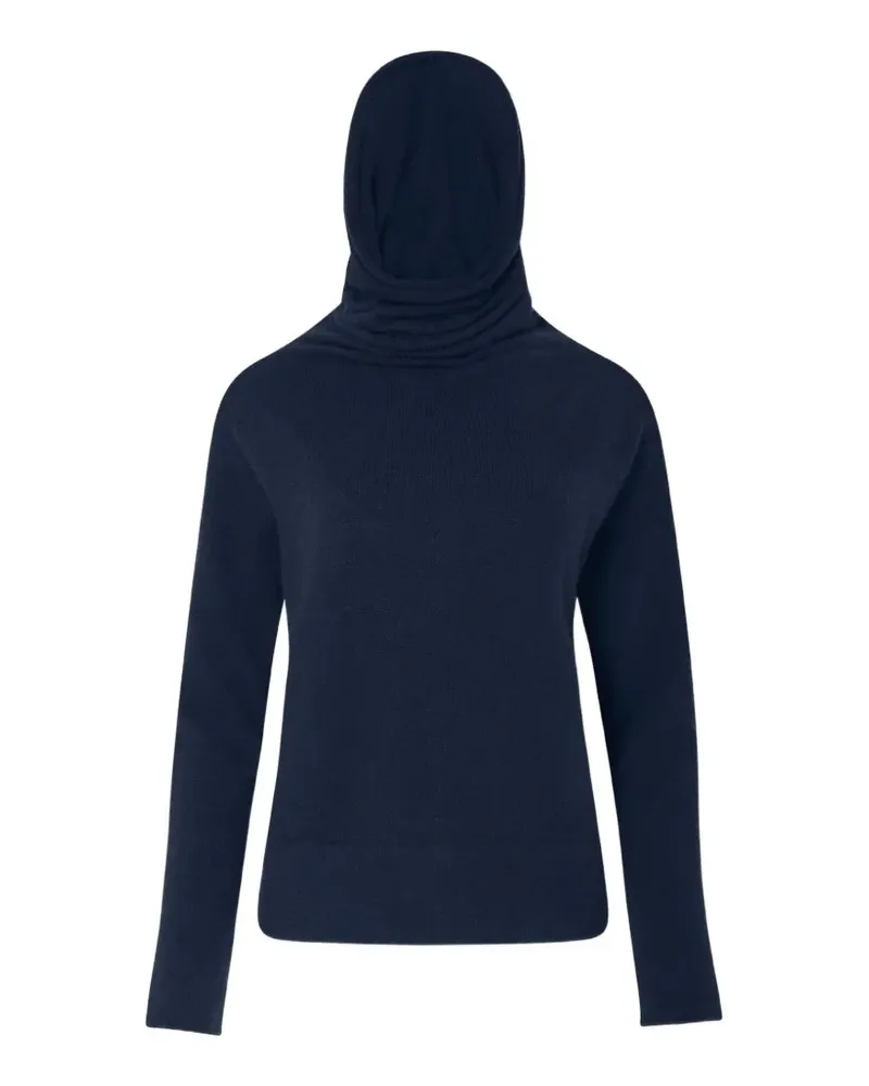 Altuzarra Klassischer Hoodie - Blau Blau