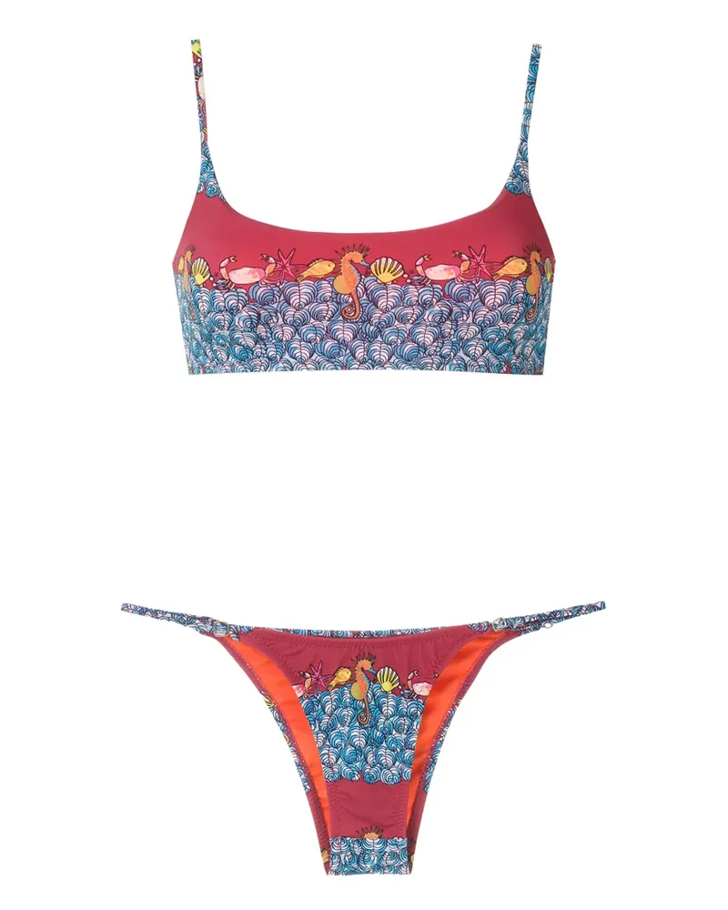 Amir Slama Bikini mit Animal-Print - Blau Blau