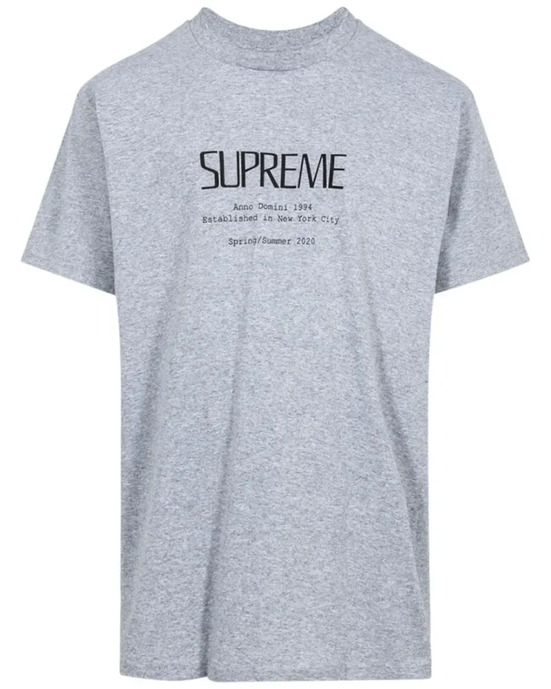 Supreme Being Anno Domini T-Shirt - Grau Grau