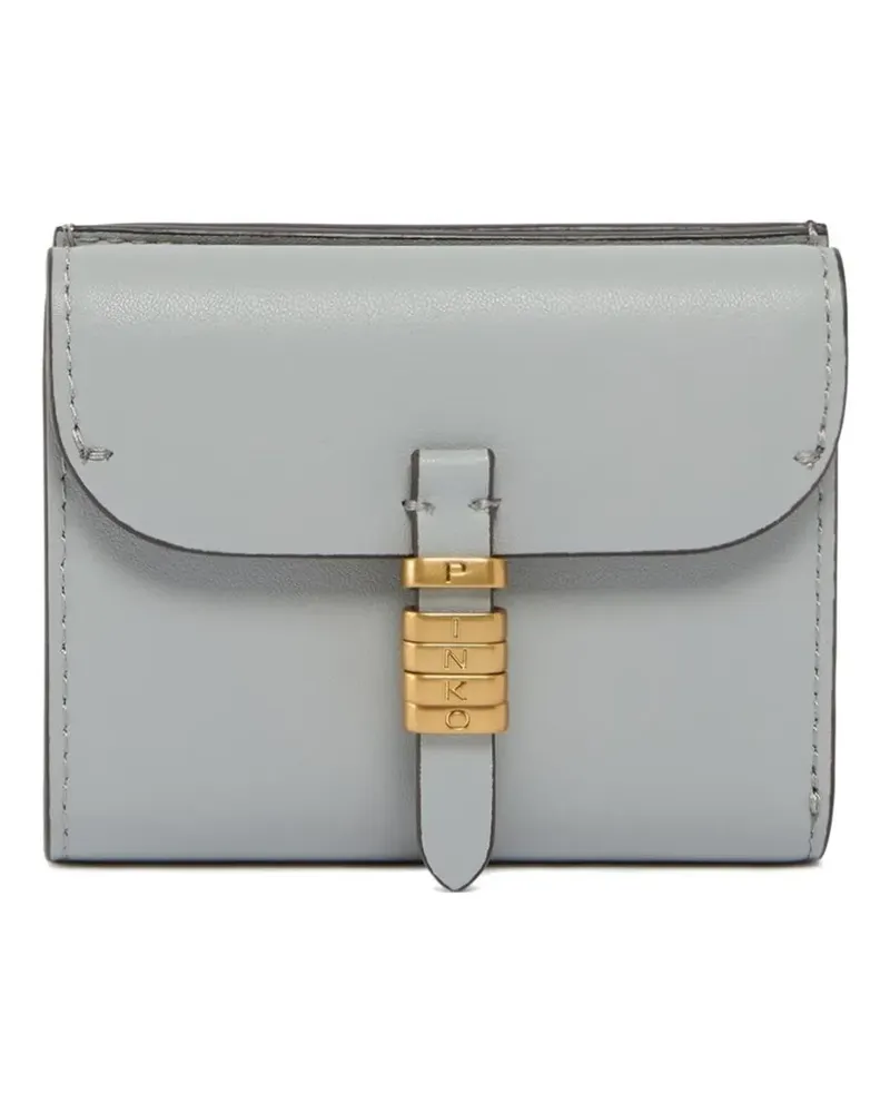 Pinko Kartenetui mit Schnalle - Grau Grau