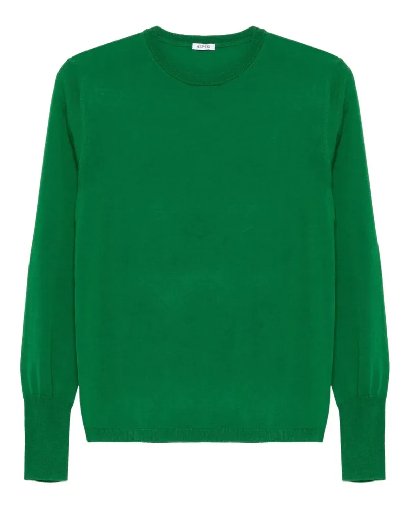 ASPESI Pullover mit rundem Ausschnitt - Grün Grün