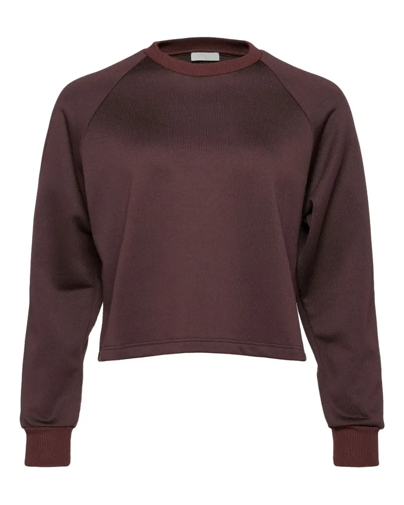 Eres Ebony Sweatshirt - Braun Braun