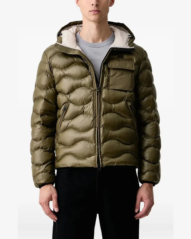 Blauer Gesteppte Jacke - Grün Grün