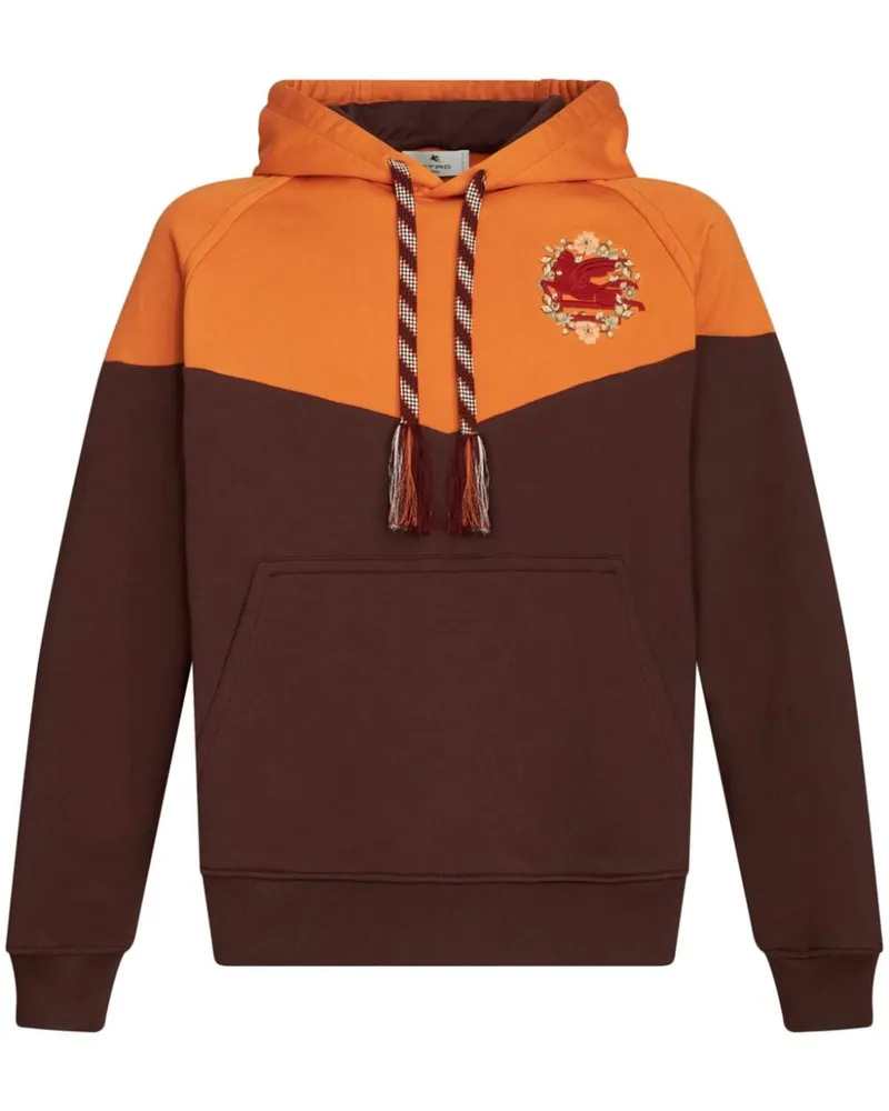 Etro Hoodie mit Pegaso-Stickerei - Braun Braun