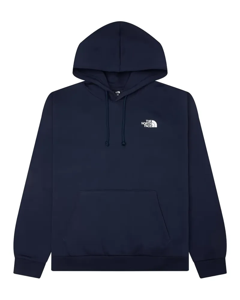 The North Face Evolution Box NSE regular hoodie - Blau Blau