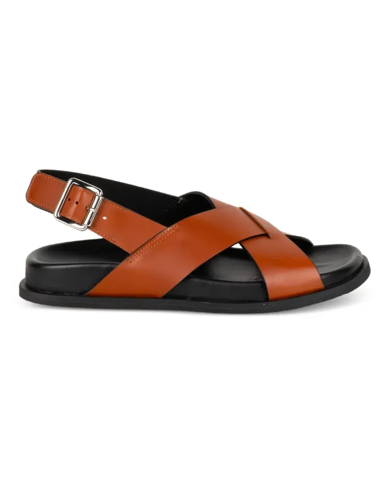 Guglielmo Rotta Twill Ranch crossover-strap buckle-fastening sandals - Braun Braun