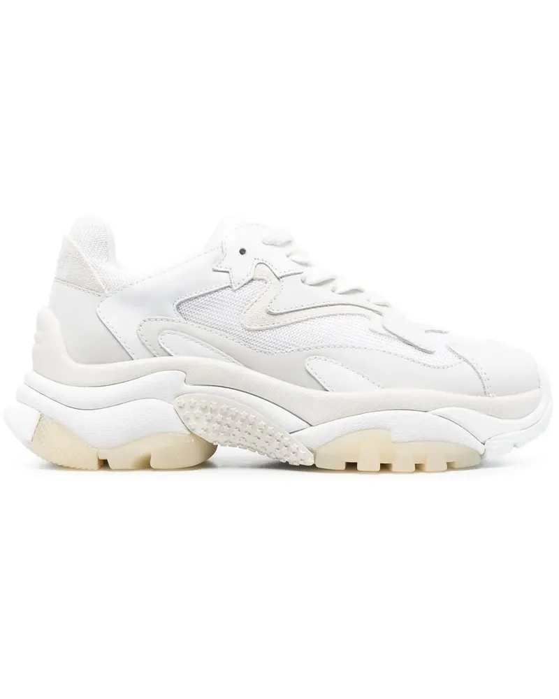 ash Addict Sneakers - Weiß Weiß