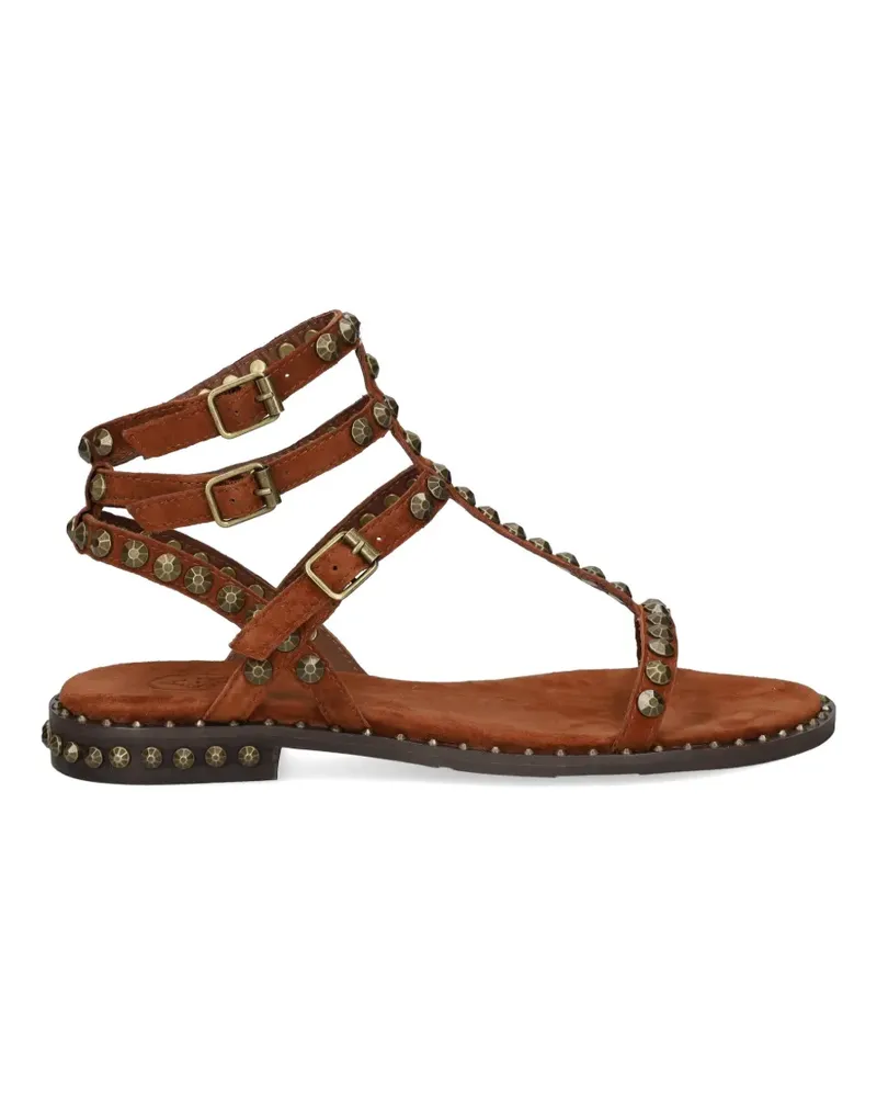 ash Play stud-embellished sandals - Braun Braun