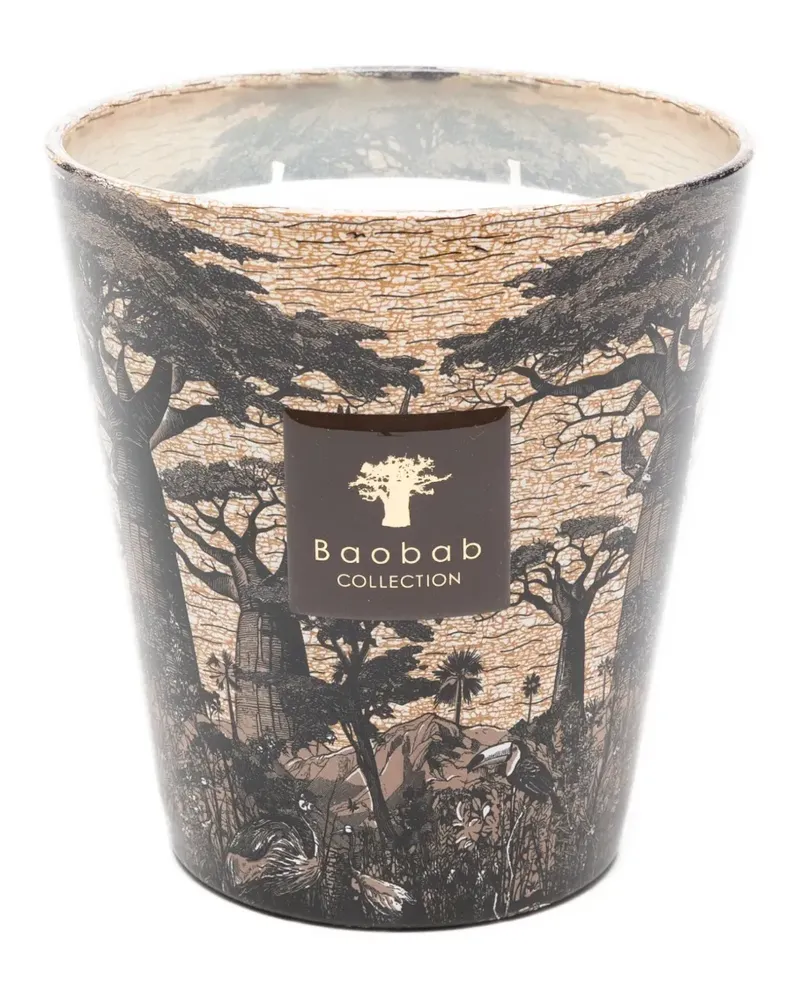 Baobab Collection Mankono candle (1100g) - Braun Braun