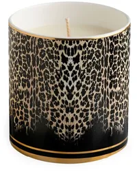 Roberto Cavalli Home Queen of Sicily Duftkerze Schwarz