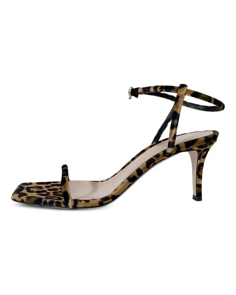 Gianvito Rossi leopard-print velvet sandals - Braun Braun