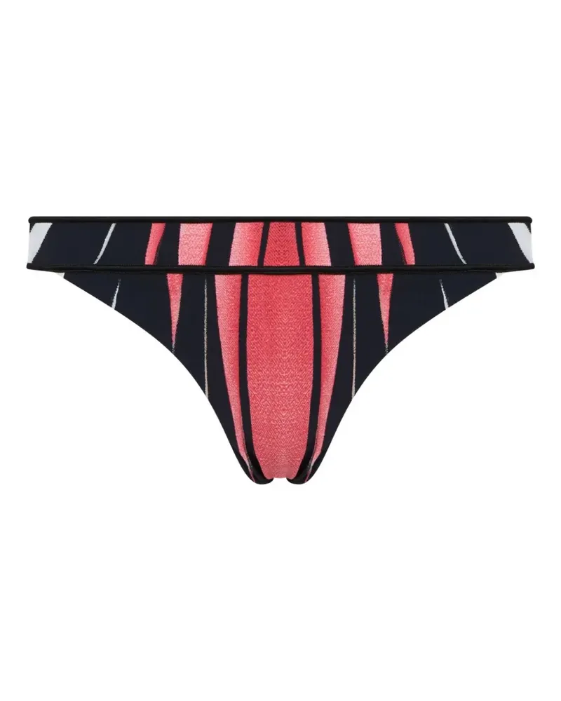 Roberto Cavalli Ray Of Paradise graphic-print bikini bottoms - Schwarz Schwarz