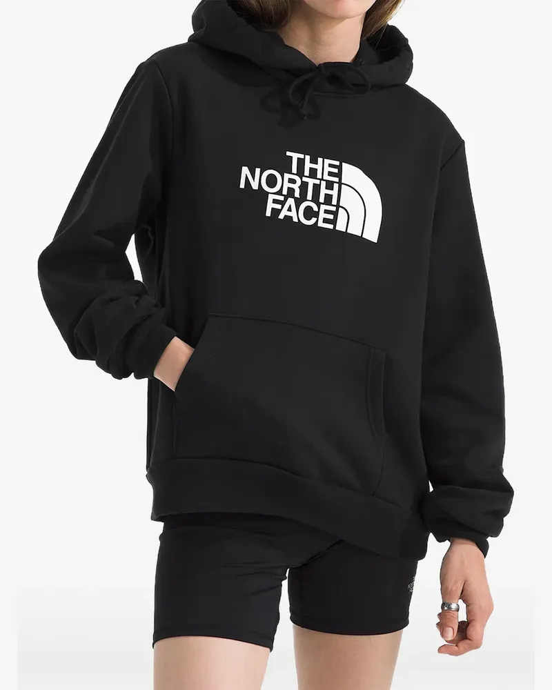 The North Face Evolution Half Dome hoodie - Schwarz Schwarz
