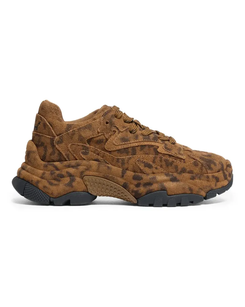 ash Addict Bis Sneakers mit Leopardenprint - Braun Braun