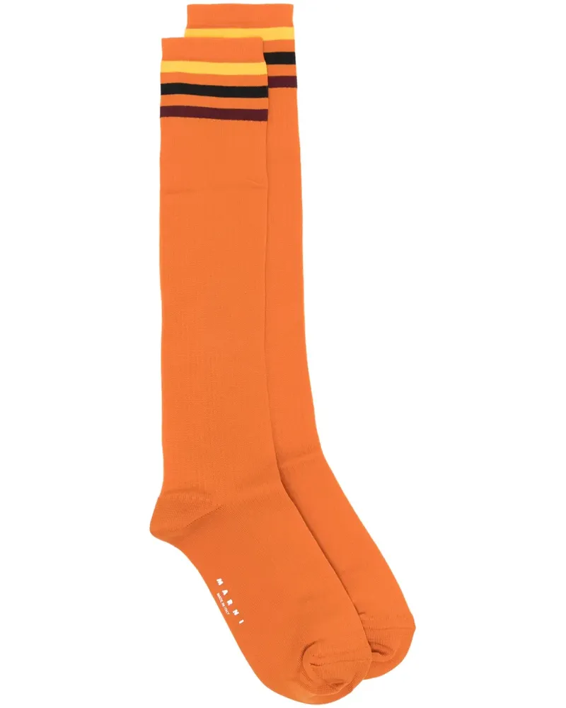 Marni Gestreifte Socken - Orange Orange