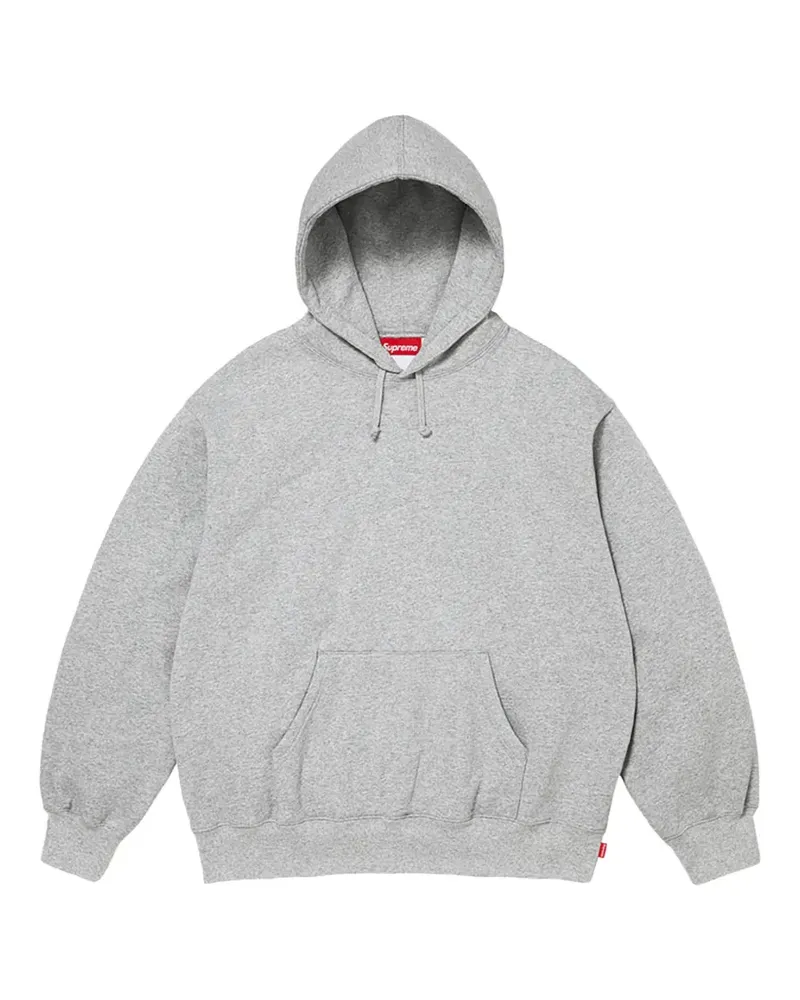 Supreme Being Hoodie mit Logo - Grau Grau