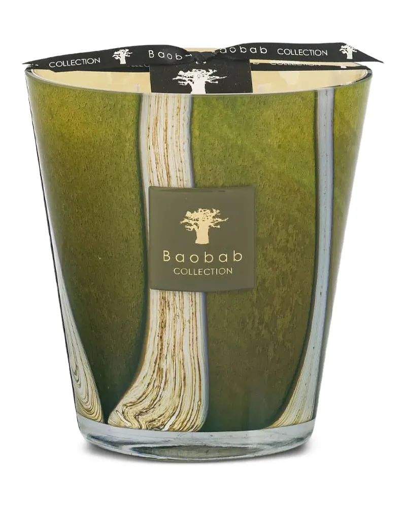 Baobab Collection Woods Sherwood Kerze (160ml) - Grün Grün