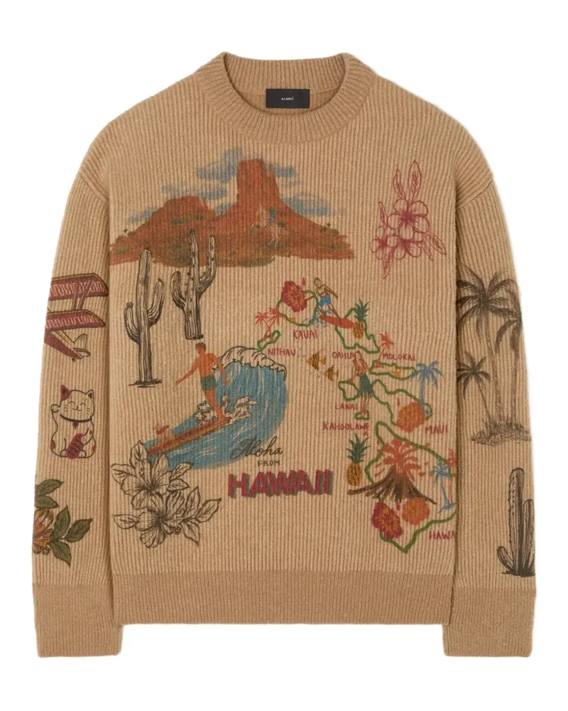 Alanui Decade Pullover mit grafischem Print - Braun Braun