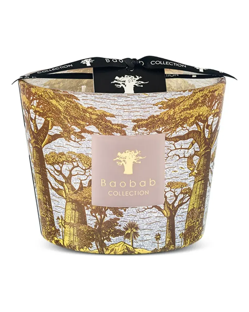 Baobab Collection Bounkani Kerze mit Bäume-Print - Gold Gold