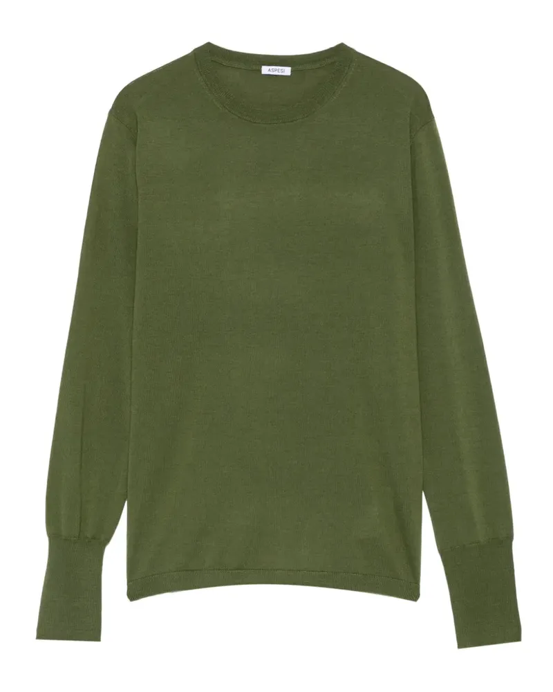 ASPESI Langärmeliger Pullover - Grün Grün