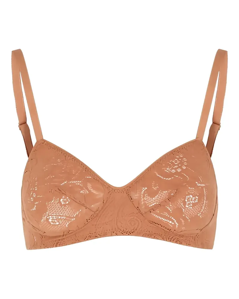 Araks Tamara BH - Braun Braun