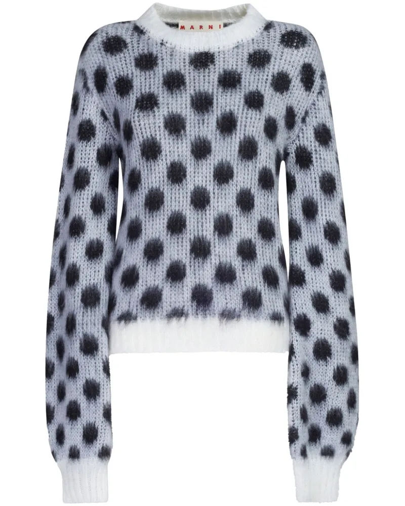 Marni Intarsien-Pullover mit Polka Dots - Weiß Weiß
