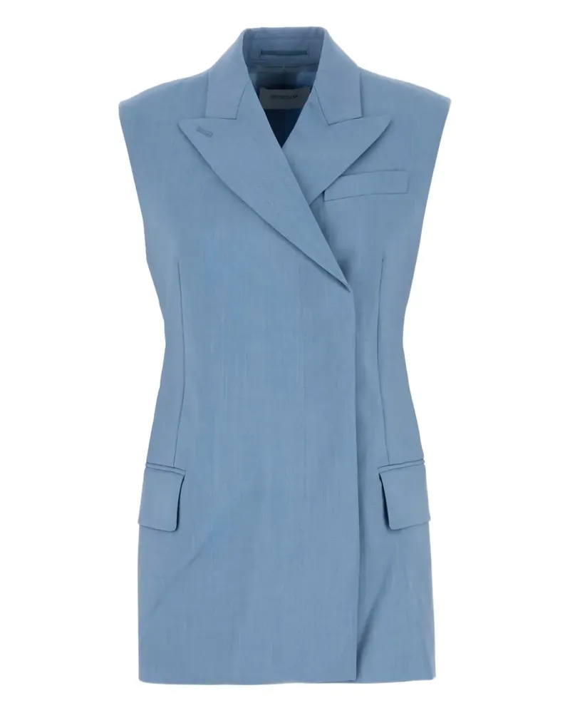 SPORTMAX Klassische Ilex Weste - Blau Blau