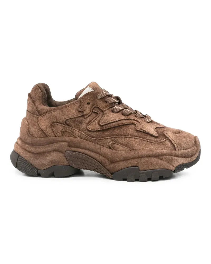 ash Addict Sneakers mit Einsätzen - Braun Braun