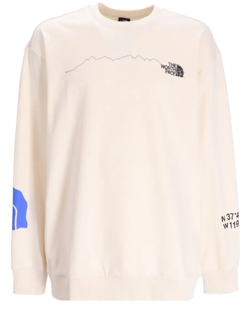 The North Face Sweatshirt mit grafischem Print Nude