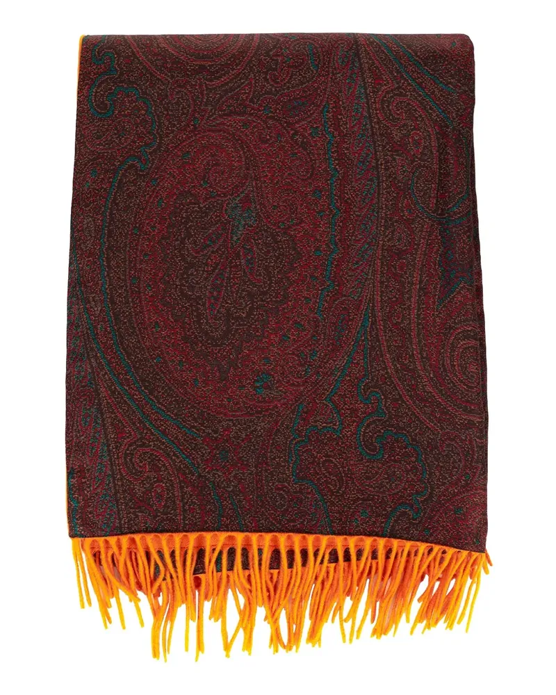 Etro Schal mit Fransen - Braun Braun