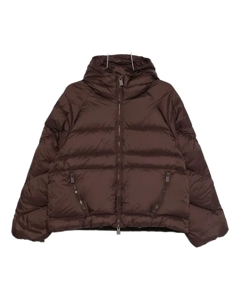 Bacon W Owl hooded zip jacket - Braun Braun