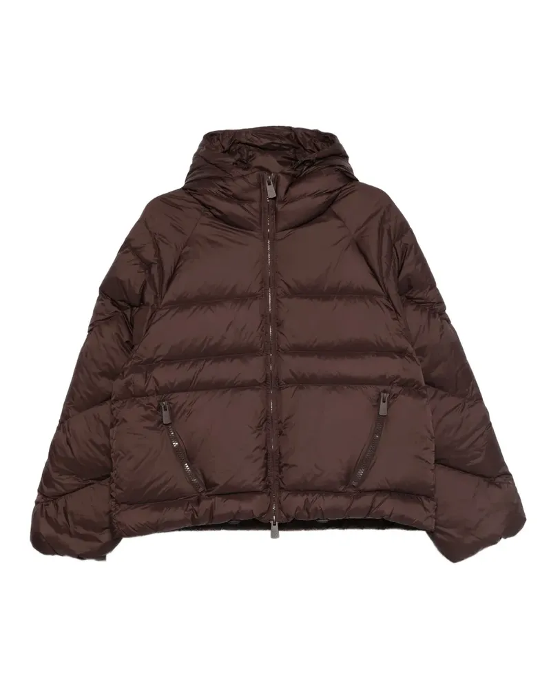 Bacon W Owl hooded zip jacket - Braun Braun