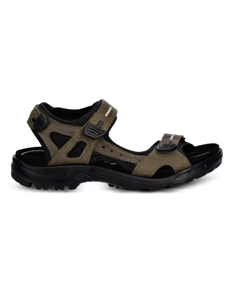 Ecco Sandalen mit Riemen - Grün Grün