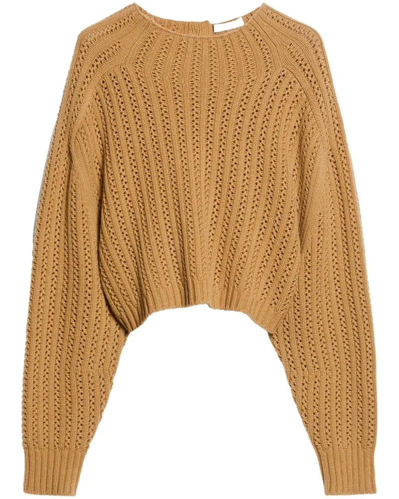 Max Mara Hodeida Pullover - Braun Braun