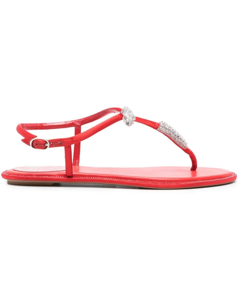 René Caovilla Katy Sandalen mit Kristallen - Rot Rot