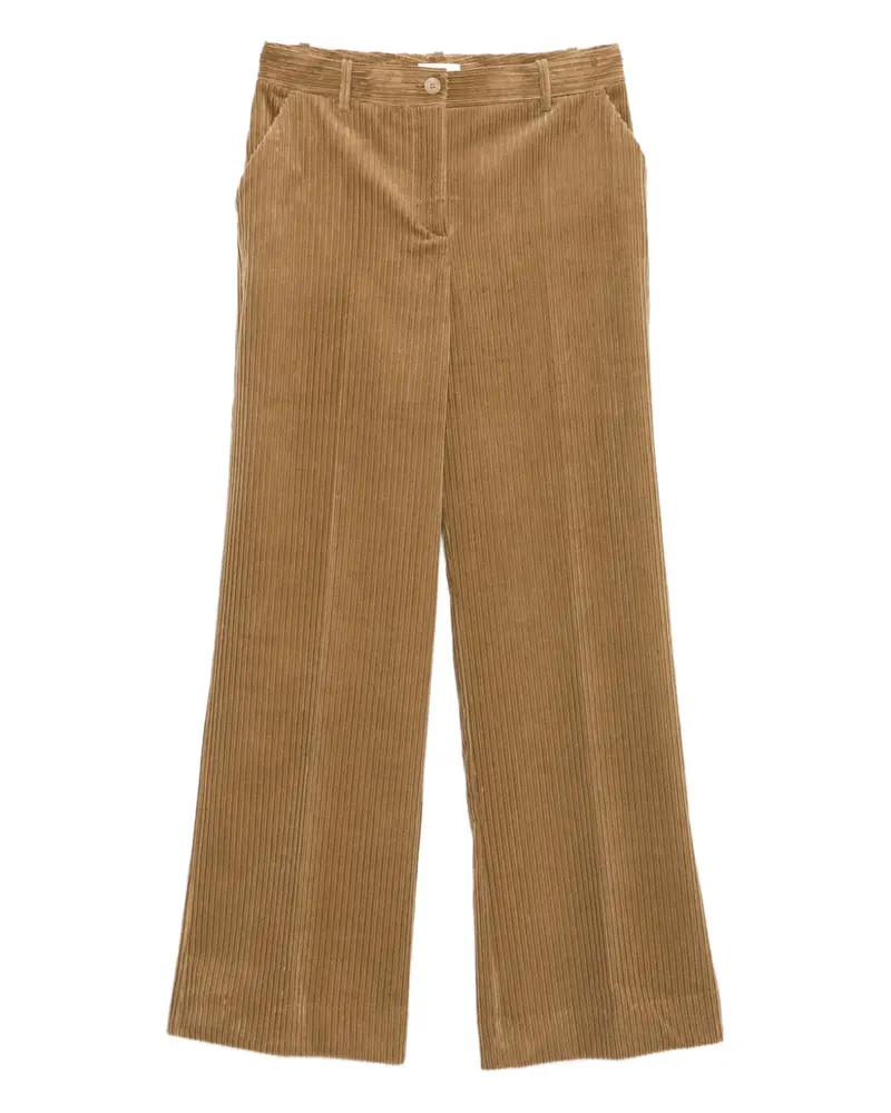 P.A.R.O.S.H. P.A.R.O H. Gerade Cordhose - Braun Braun