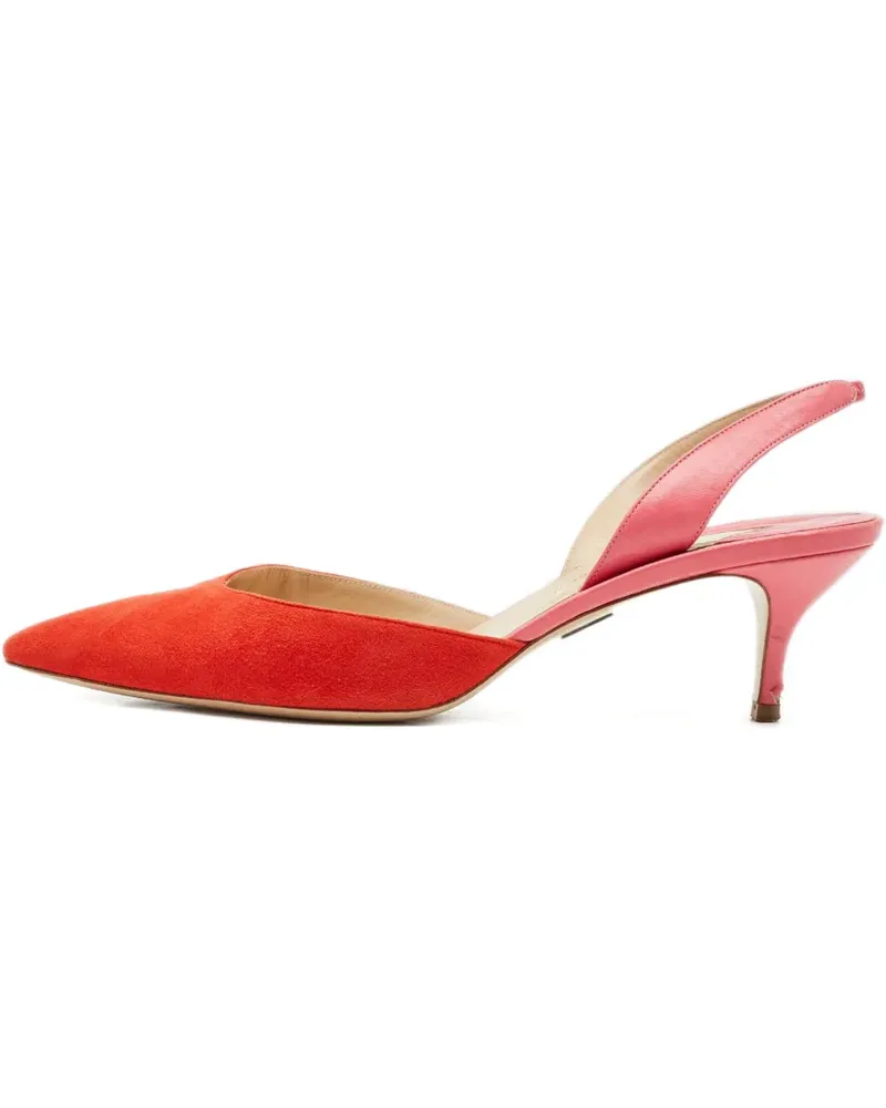 Paul Andrew slingback pointed pumps - Rot Rot