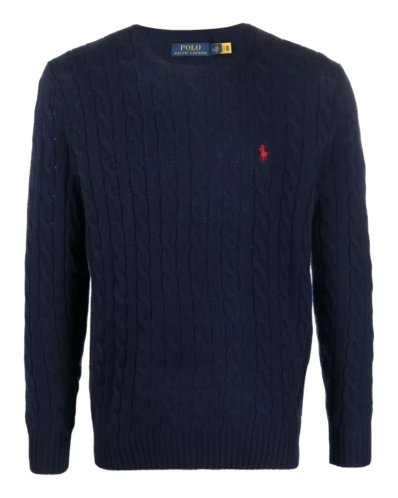 Ralph Lauren Ralph Lauren Sweaters Blue - Blau Blau