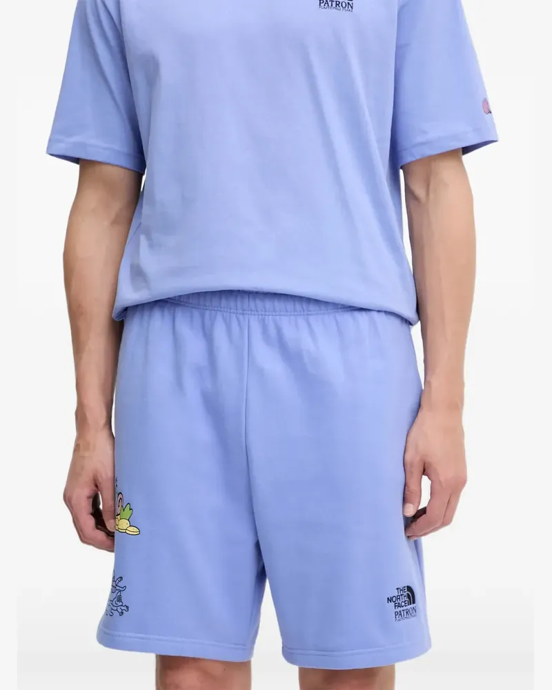 The North Face Mountain Cleanup Shorts - Violett Violett