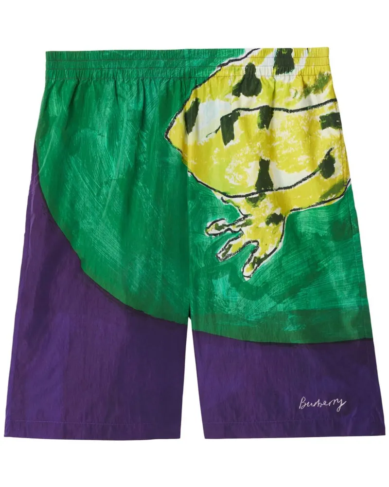 Burberry Shorts mit Stretchbund - Grau Grau