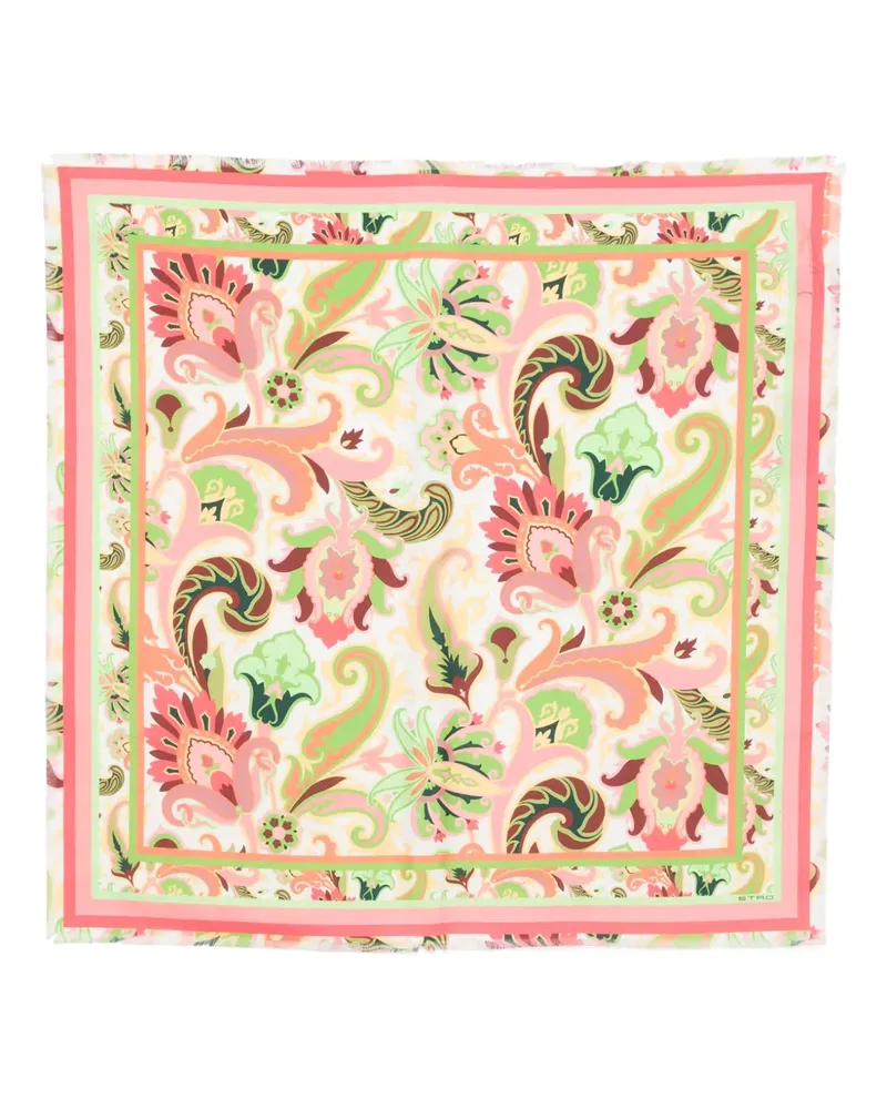 Etro Fantasia Schal - Rosa Rosa