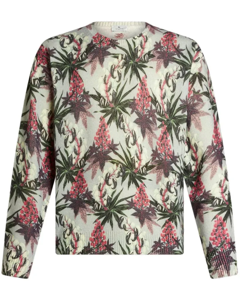 Etro Intarsien-Pullover mit Blumen - Nude Nude