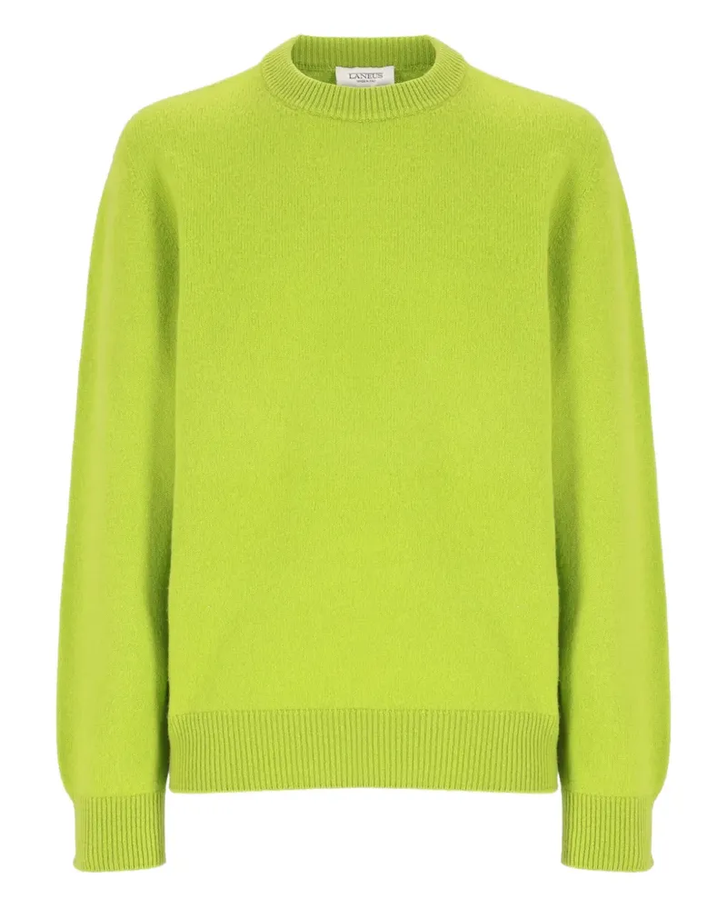 Laneus Strickpullover mit Rundhalsausschnitt - Grün Grün