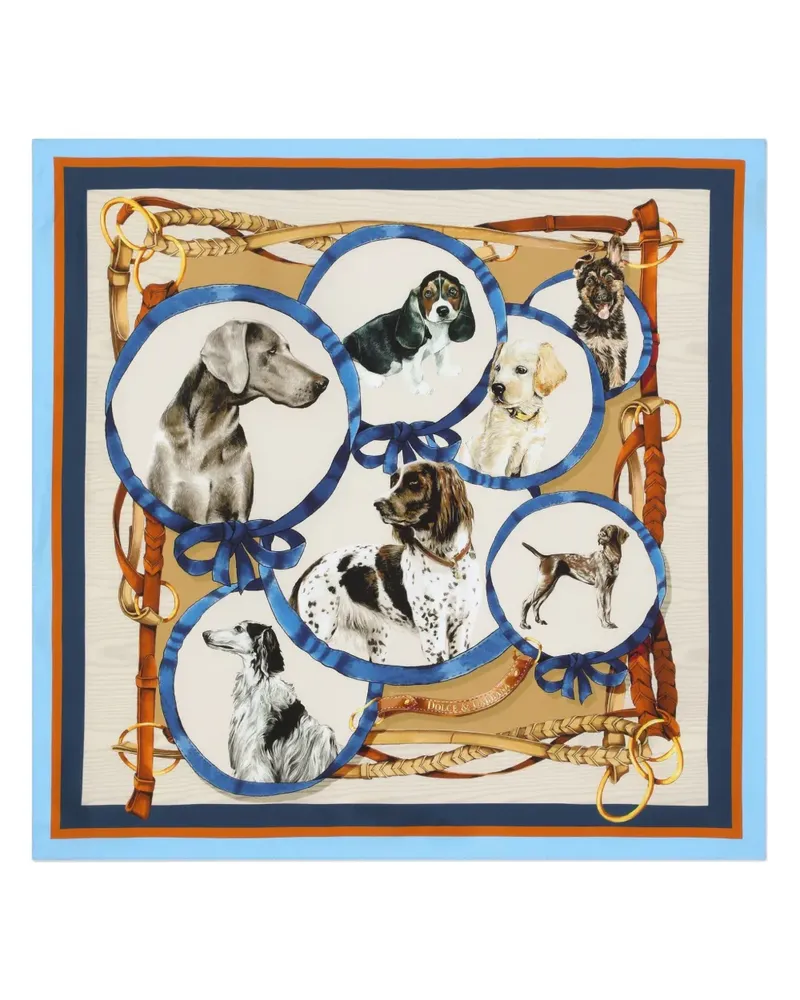 Dolce & Gabbana Schal mit Hunde-Print - Nude Nude
